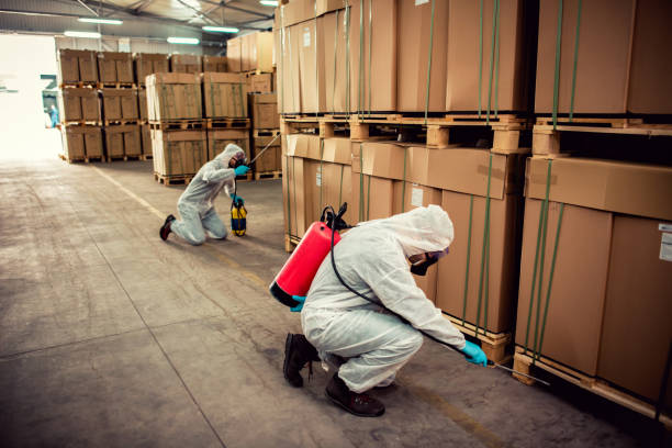 Best Wildlife Control Services  in King Arthur Park, MT