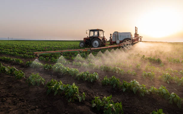 Professional Pest Control in King Arthur Park, MT