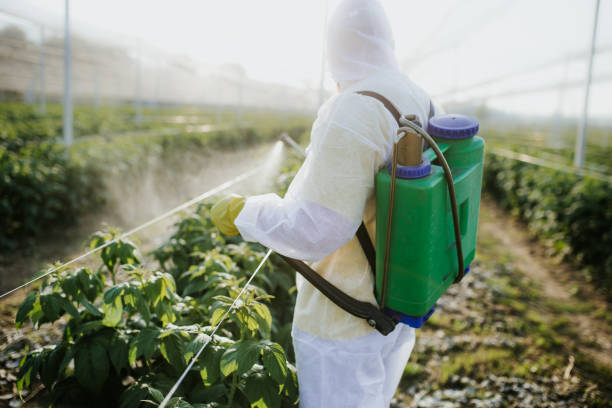 Best Commercial Pest Control Services  in King Arthur Park, MT